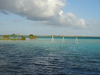 DSC07530