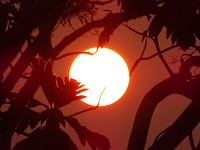 DSC07608
