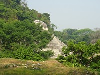 DSC07802