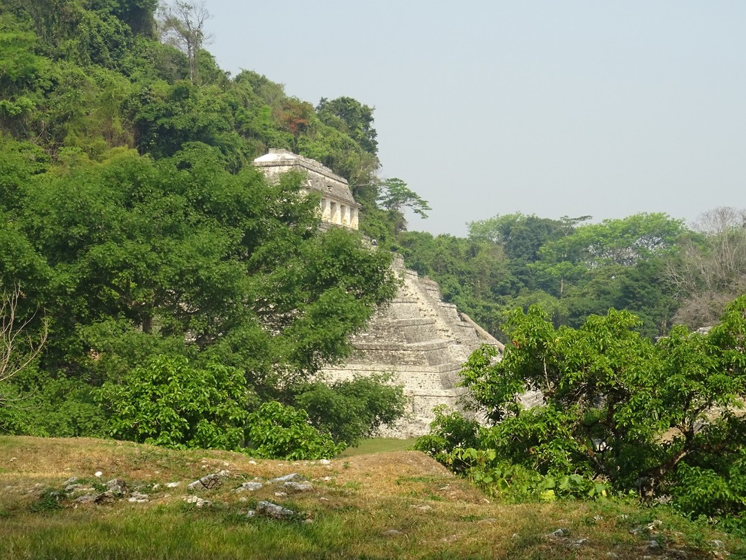 DSC07802
