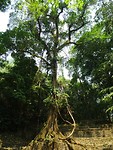 DSC07881