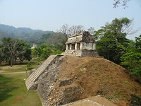 DSC07918