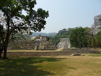 DSC07955