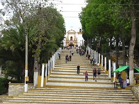 DSC08338