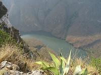 DSC08659
