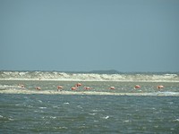 DSC00590