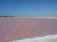 DSC00607