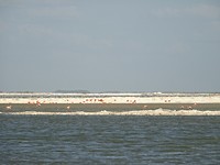 DSC00644