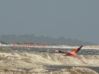 DSC00703