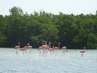 DSC00845