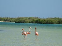 DSC00854