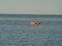 DSC05117