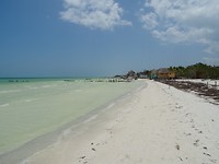 DSC05217