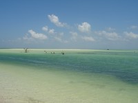 DSC05266