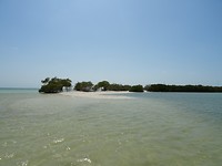 DSC05290