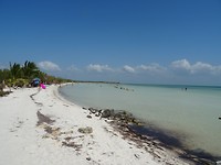 DSC05305