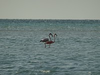 DSC05367