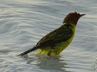 DSC05402