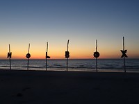 DSC05198