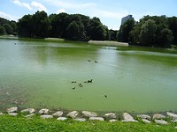 DSC06884