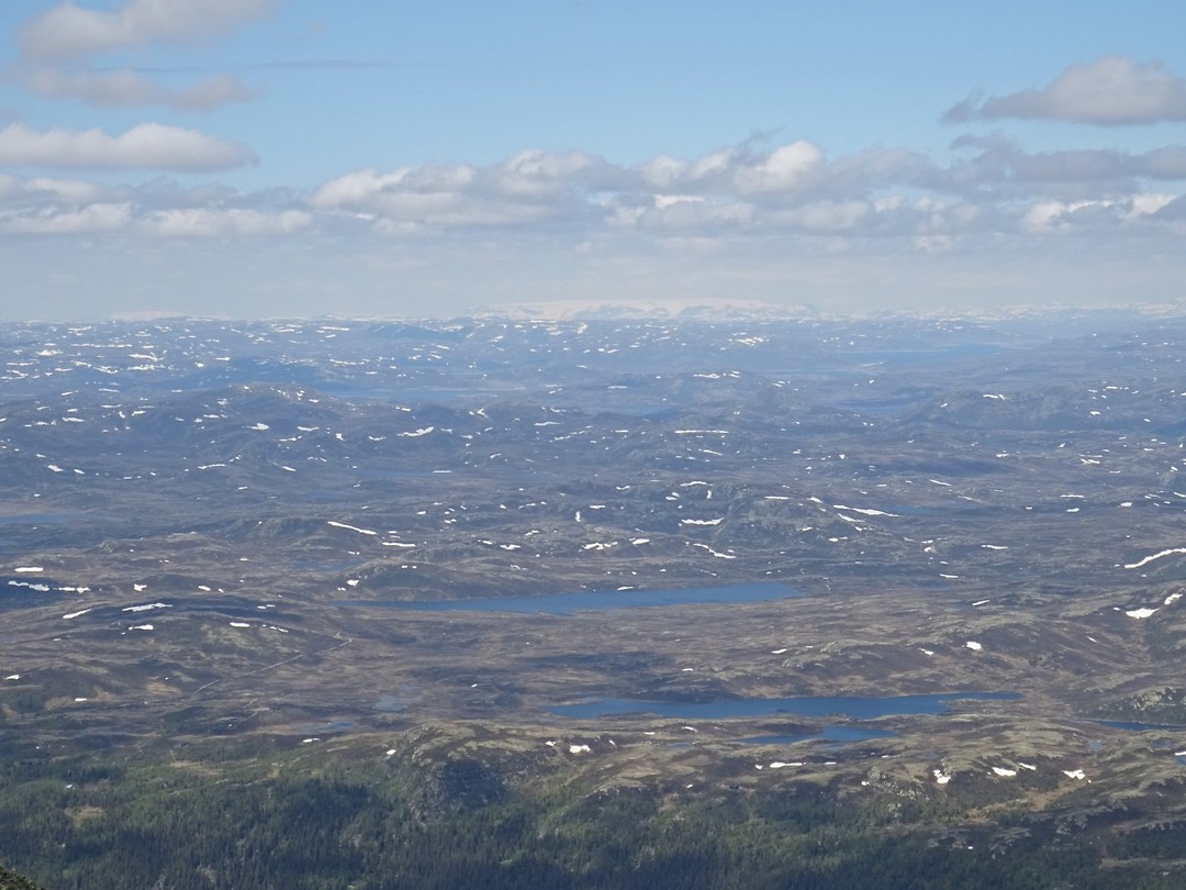 DSC07400