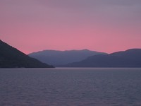 DSC07987