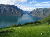 DSC00160