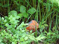 DSC01034