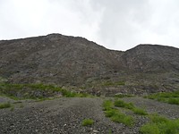 DSC02444