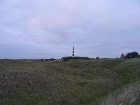 DSC02837