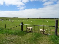 DSC02899