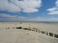 DSC02909
