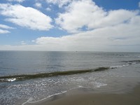 DSC02913