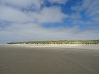 DSC02924