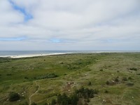 DSC02959