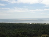 DSC02955