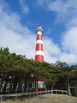 DSC03003