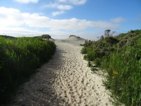 DSC03060