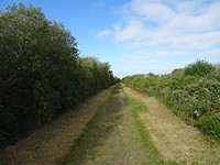 DSC03063