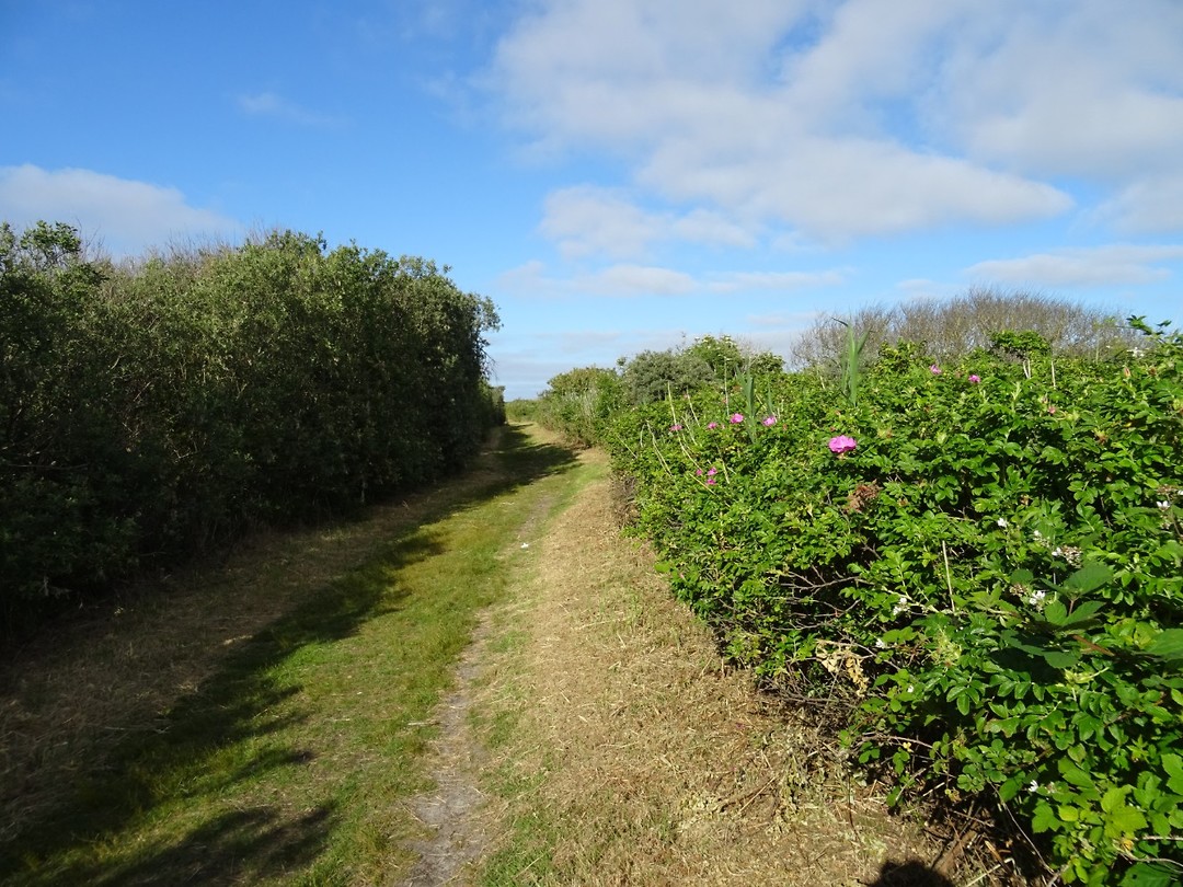 DSC03064