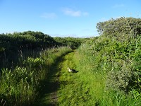 DSC03107