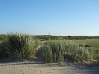 DSC03122