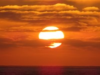 DSC03198