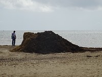 DSC05574