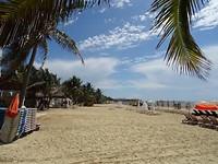 DSC05585