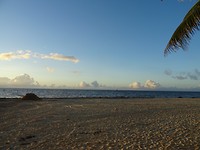 DSC05593