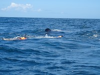 DSC05609