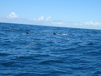 DSC05611