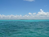 DSC05620