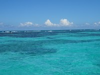 DSC05623